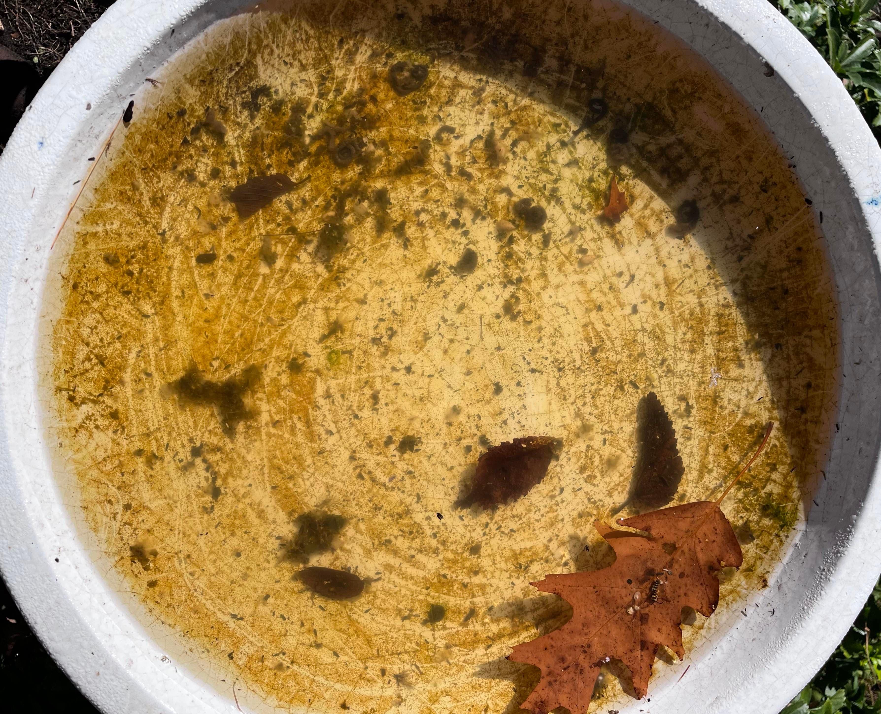 Abstract water photography